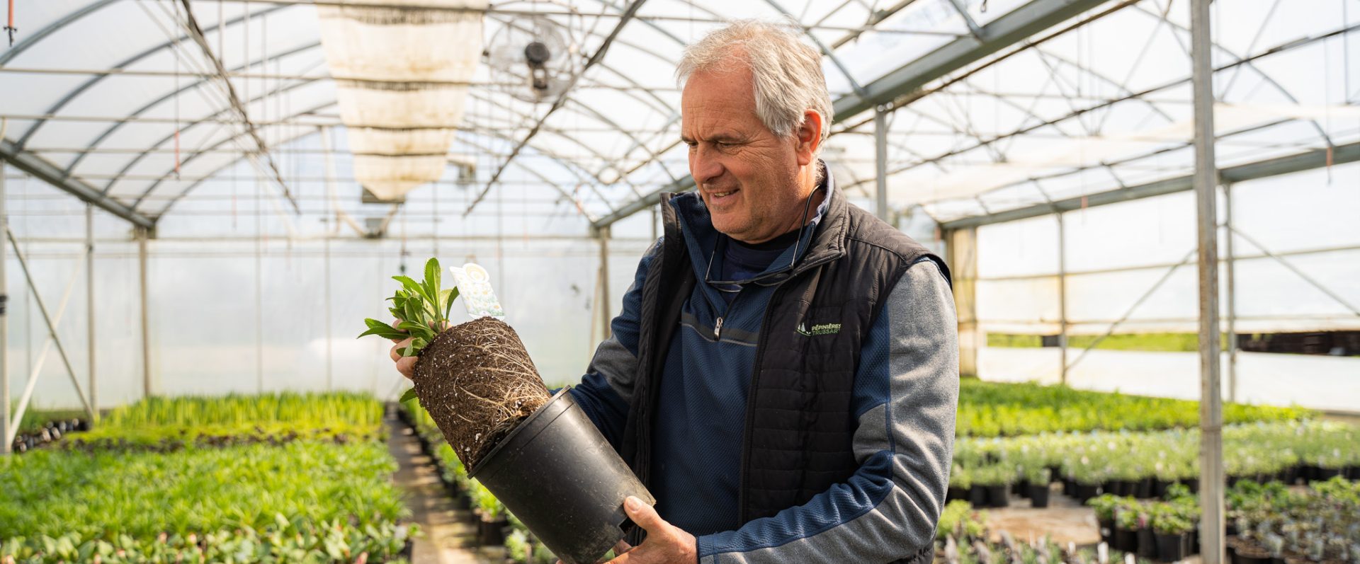 Pépinières Trussart