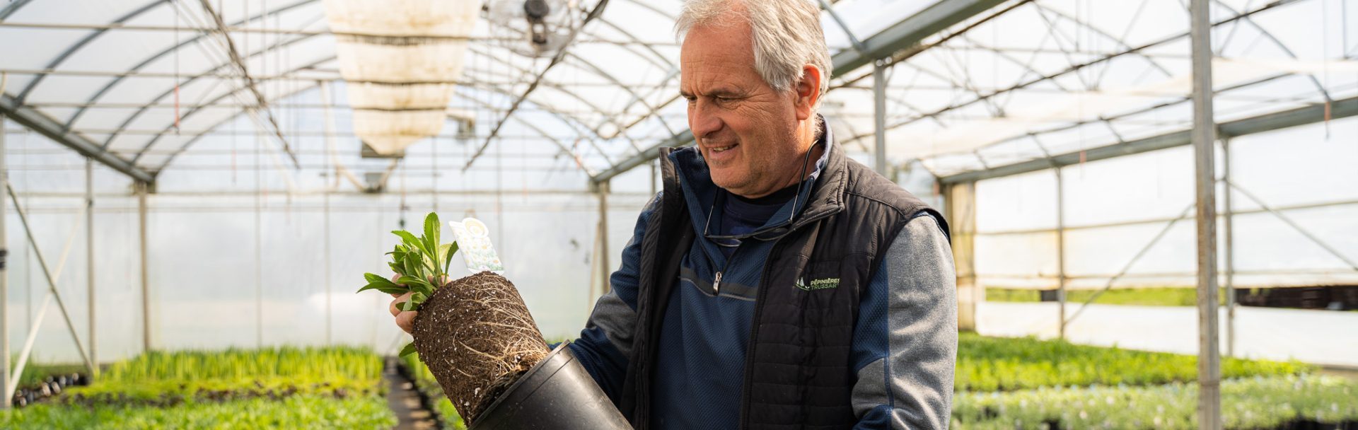 Pépinières Trussart