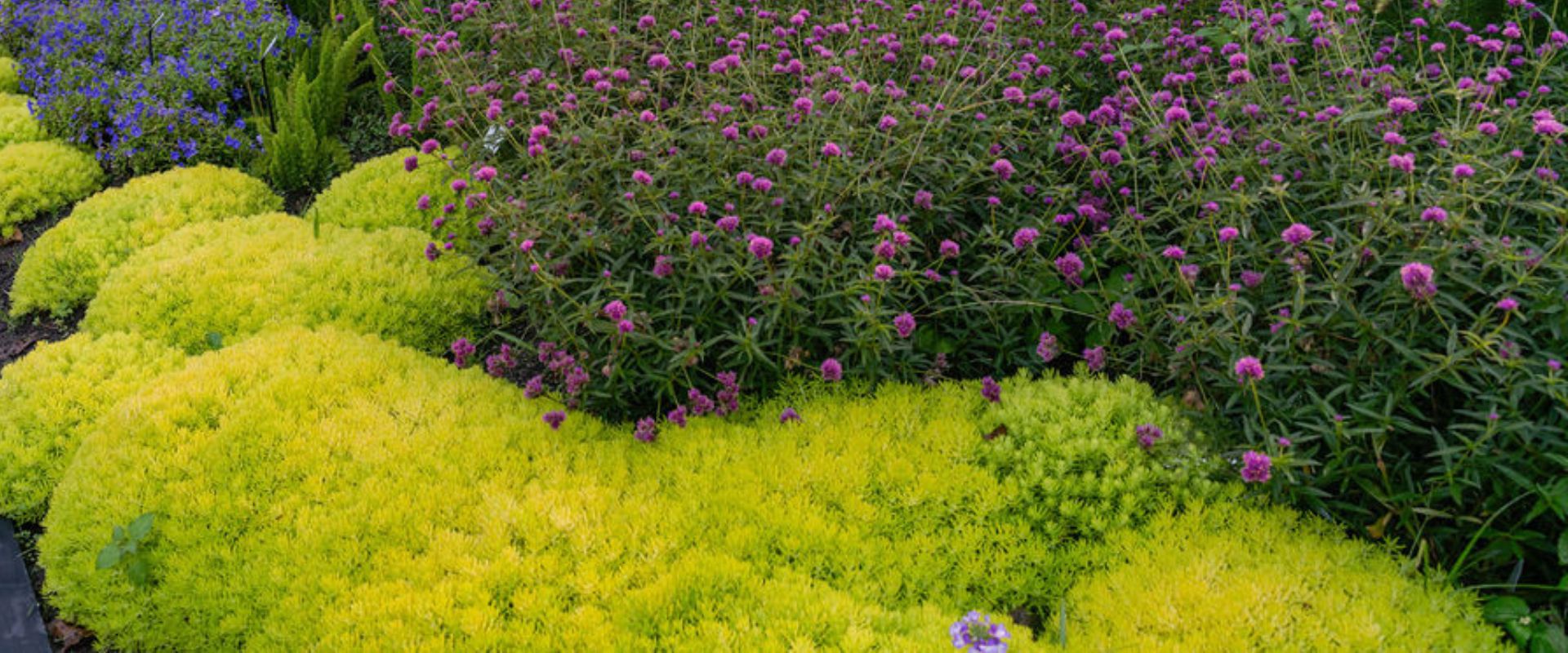 Pépinières Trussart