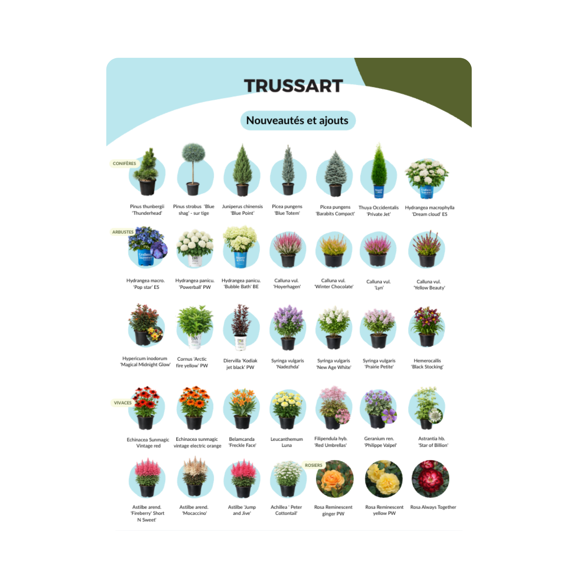 Pépinières Trussart