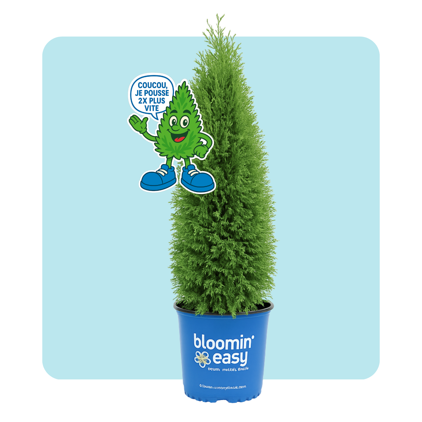 Pépinières Trussart