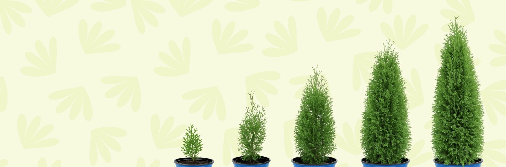 Pépinières Trussart