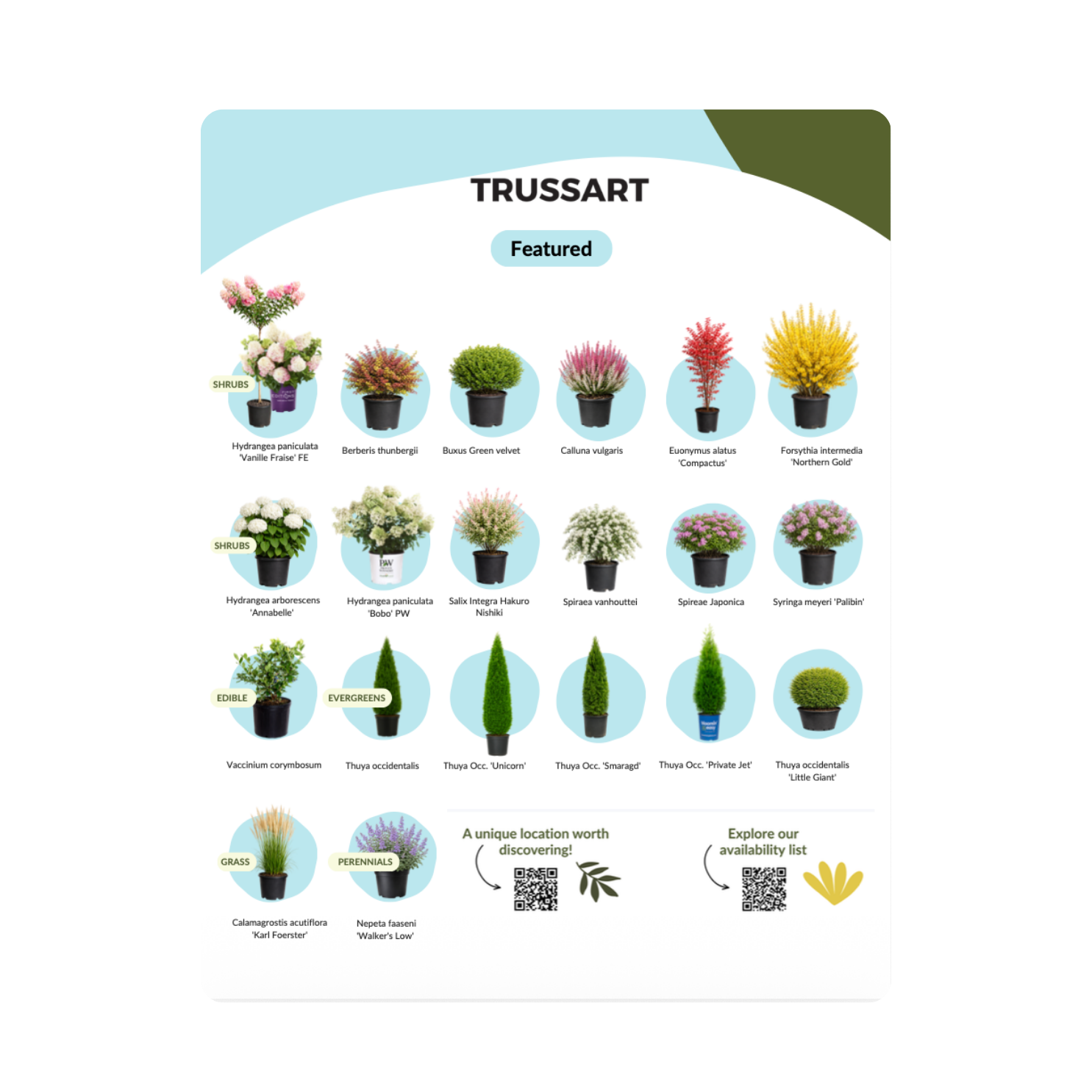 Pépinières Trussart