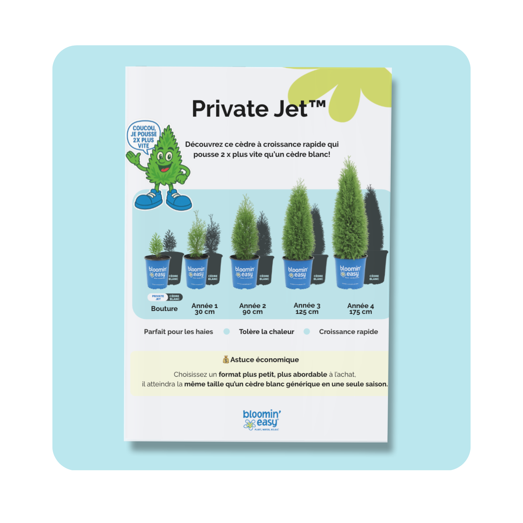 Pépinières Trussart