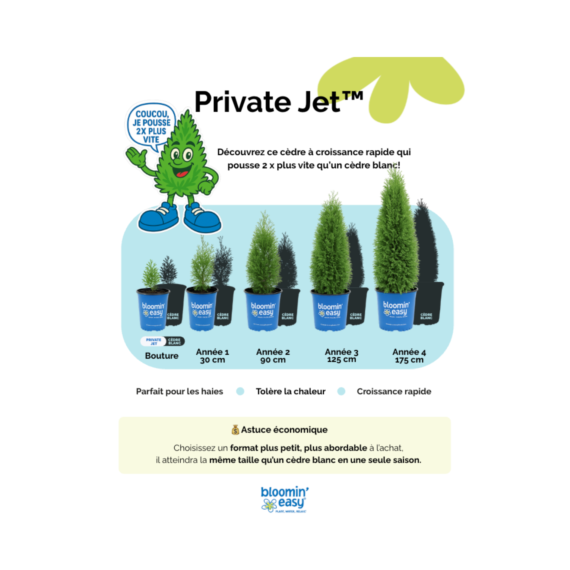 Pépinières Trussart