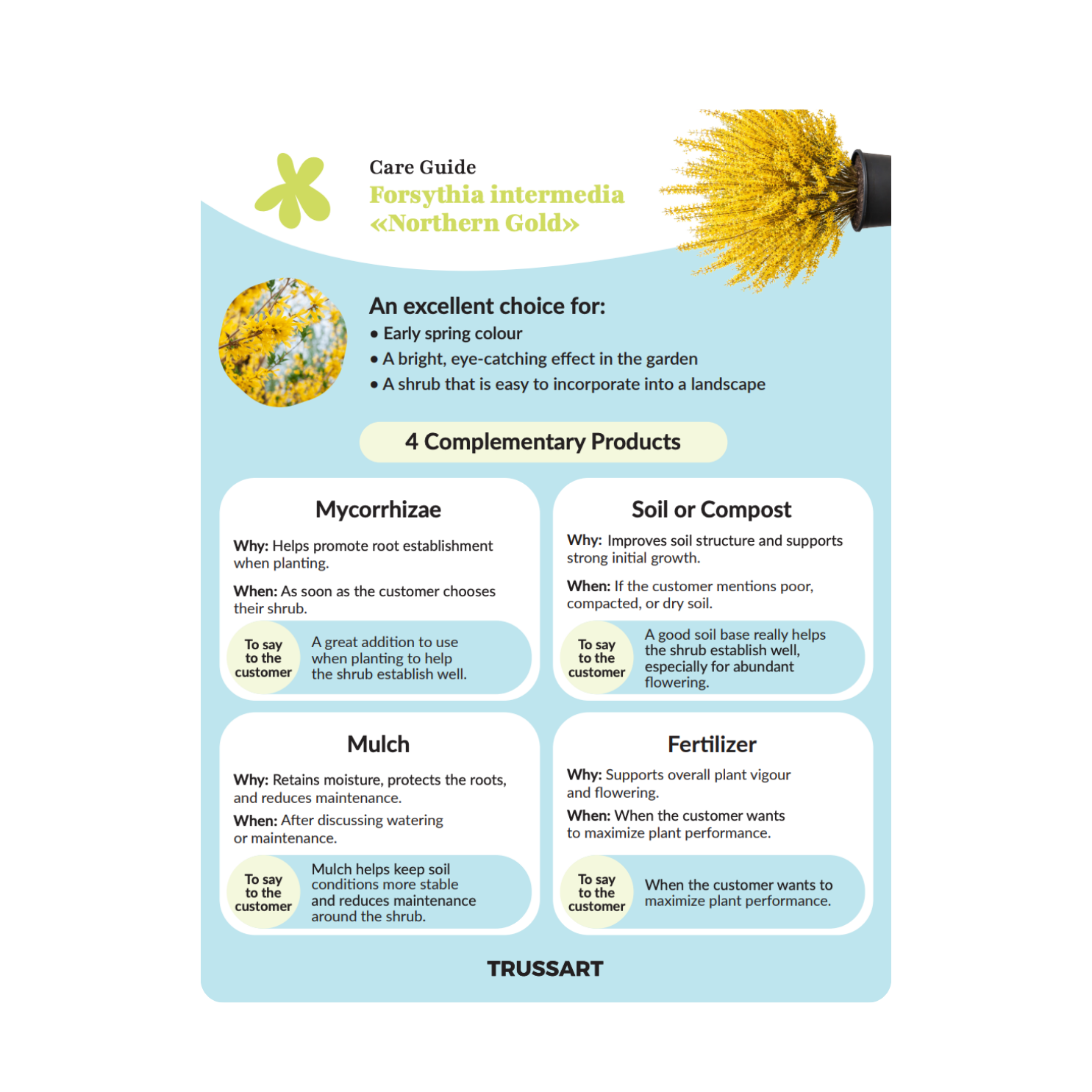 Pépinières Trussart