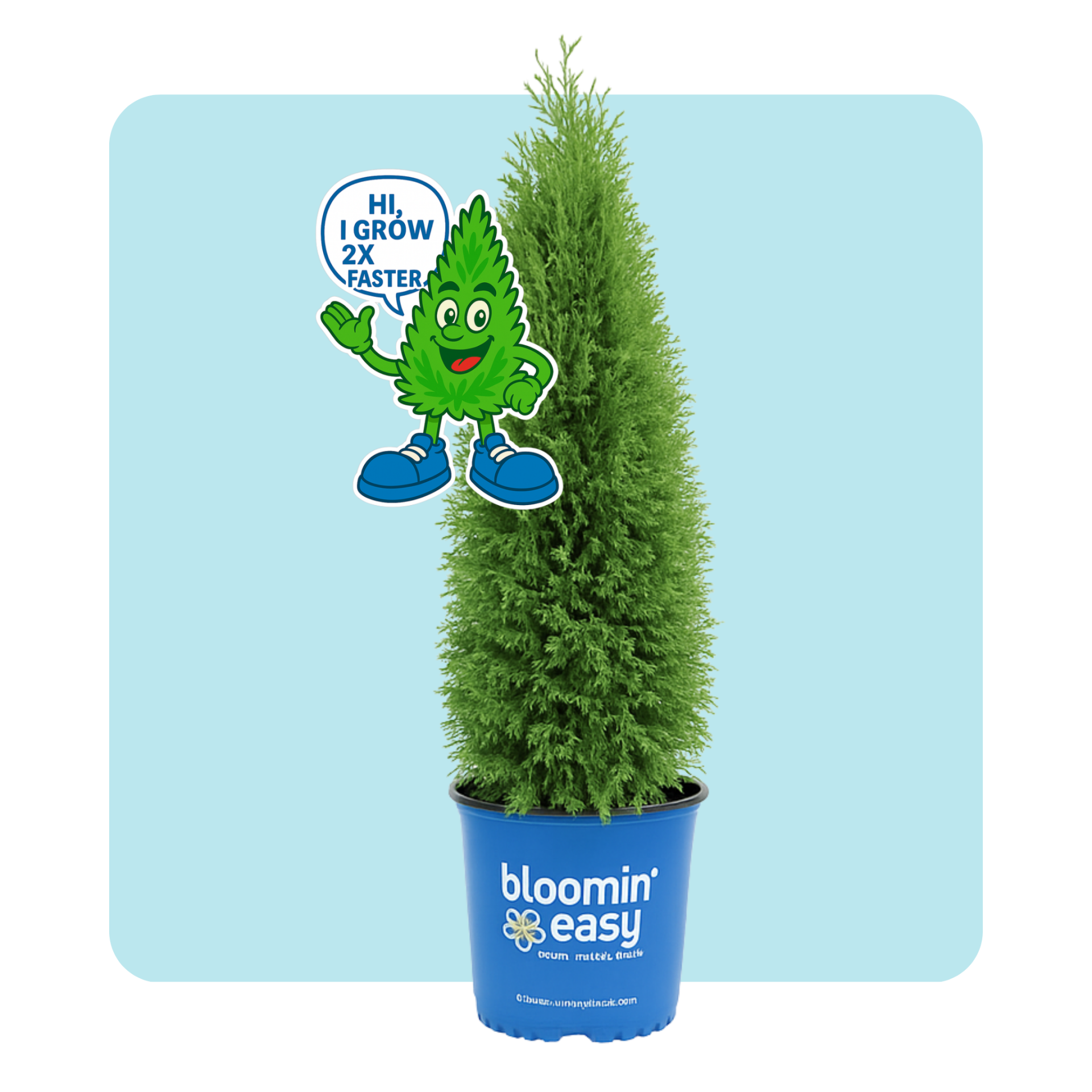 Pépinières Trussart