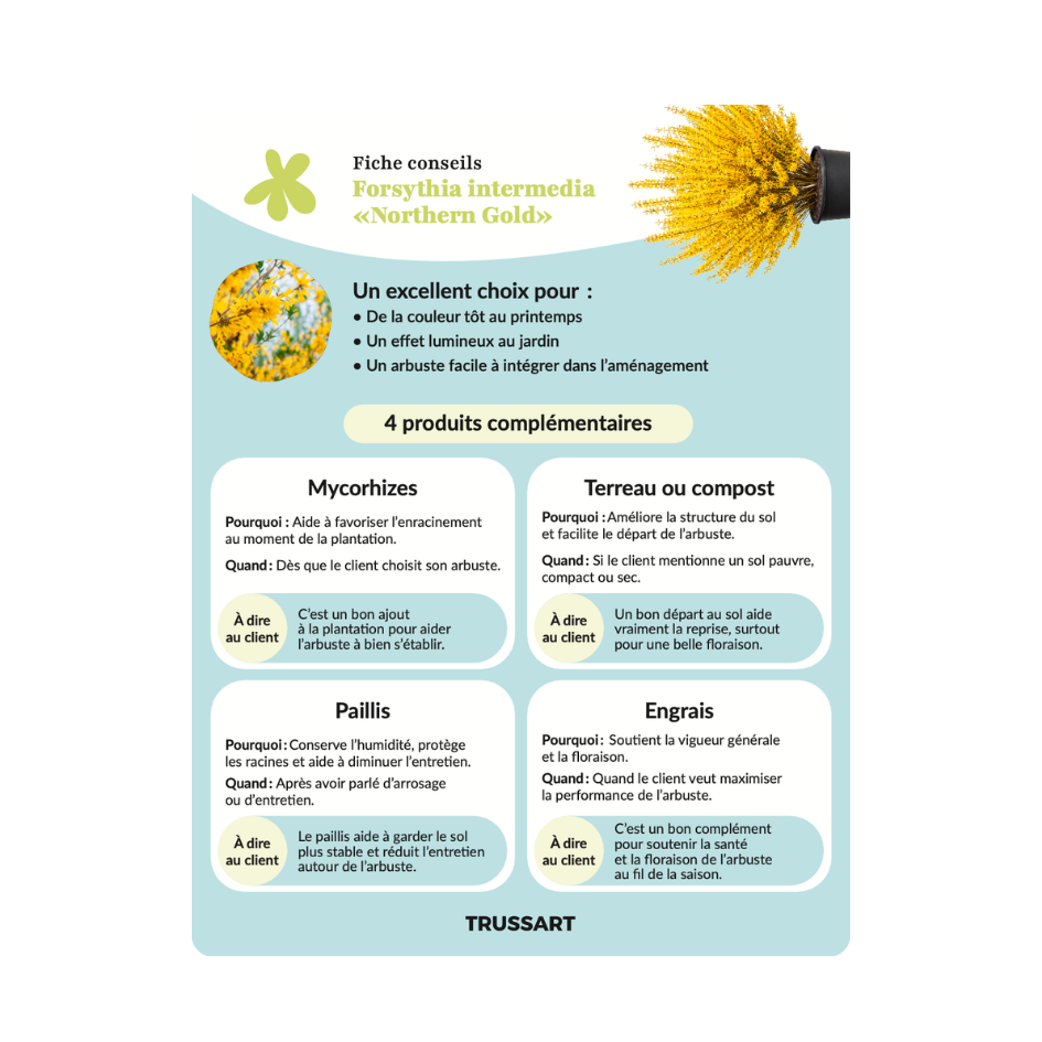 Pépinières Trussart