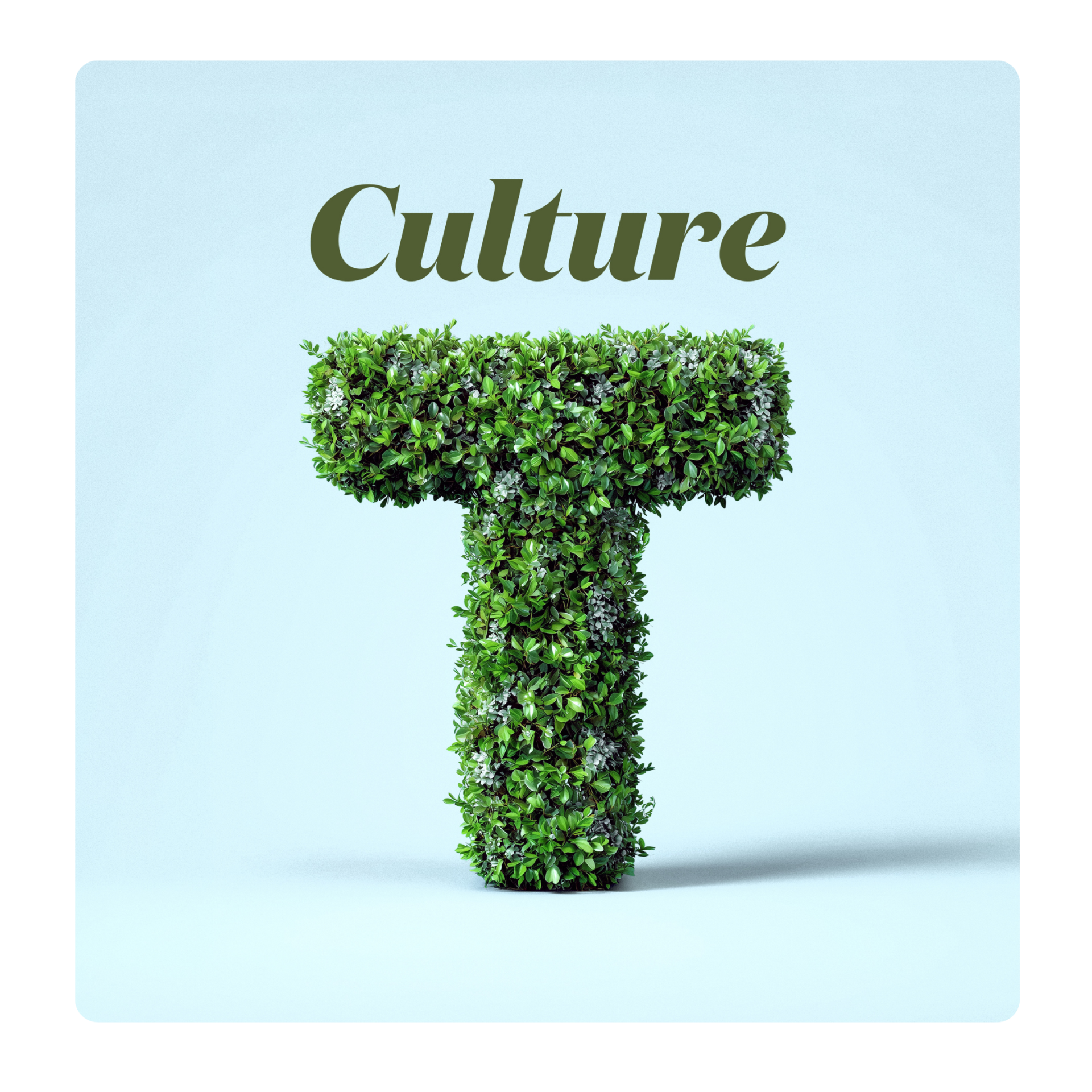 Pépinières Trussart