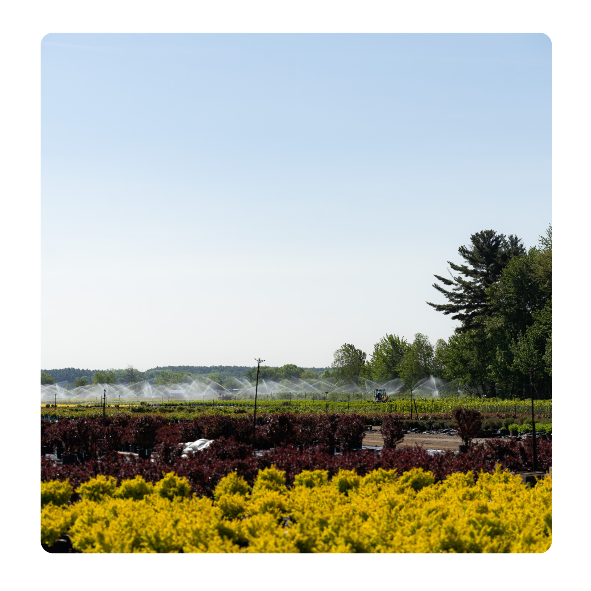 Pépinières Trussart