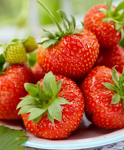 Fraise 'Sakata'